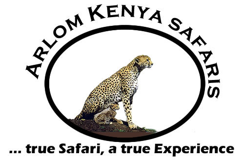 Arlom  Kenya  Safaris
